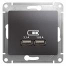 GSL001333 Розетка USB с/у 5В/2100мА (графит, б/рамки), Ввезен из РФ