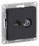ATN001089 ATLAS РОЗЕТКА двойная комп.+ТВ RJ45+TV, кат.5E, механизм, КАРБОН,Ввезен из РФ