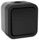 TORS Выключ. двухполюсный однокл. 10А IP55 TS111 графит IEK